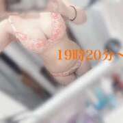 ヒメ日記 2025/09/19 19:32 投稿 ミント・SP アニバーサリー