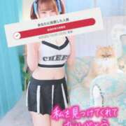 ミント・SP 初めて予選突破できた泣 アニバーサリー