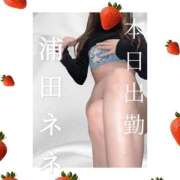 ヒメ日記 2025/10/25 14:14 投稿 浦田ねね Mrs.Dandy Maihama