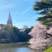 ヒメ日記 2026/04/06 17:23 投稿 らん 体感サロン マチルダとベロニカ