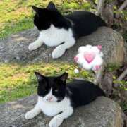 ヒメ日記 2026/04/17 13:30 投稿 らん 体感サロン マチルダとベロニカ