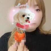 ヒメ日記 2026/08/04 04:09 投稿 高岡さり Mrs.Dandy Maihama