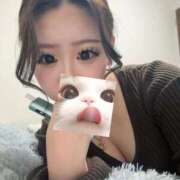 ヒメ日記 2025/12/12 17:49 投稿 なの ラブライフ所沢川越