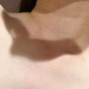 ヒメ日記 2025/10/12 09:29 投稿 こころ ジャパンクラブ富士