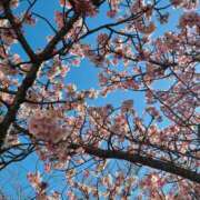 ヒメ日記 2025/03/15 08:14 投稿 ゆり 美熟女倶楽部Hip's 春日部店