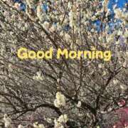 ヒメ日記 2025/03/18 09:35 投稿 ゆり 美熟女倶楽部Hip's 春日部店