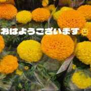 ヒメ日記 2025/04/21 10:14 投稿 ゆり 美熟女倶楽部Hip's 春日部店