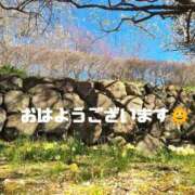 ヒメ日記 2025/04/29 08:37 投稿 ゆり 美熟女倶楽部Hip's 春日部店