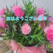 ヒメ日記 2025/05/16 11:44 投稿 ゆり 美熟女倶楽部Hip's 春日部店