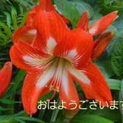 ヒメ日記 2025/05/24 10:44 投稿 ゆり 美熟女倶楽部Hip's 春日部店