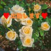 ヒメ日記 2025/06/04 12:24 投稿 ゆり 美熟女倶楽部Hip's 春日部店