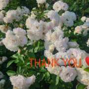 ヒメ日記 2025/06/05 00:24 投稿 ゆり 美熟女倶楽部Hip's 春日部店