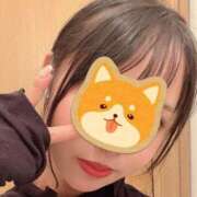 ヒメ日記 2025/03/25 18:35 投稿 なつね 京都出張メンズエステChou Chou（シュシュ)