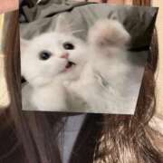 ヒメ日記 2025/04/08 22:59 投稿 なつね 京都出張メンズエステChou Chou（シュシュ)