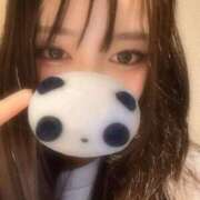 ヒメ日記 2025/04/12 20:04 投稿 なつね 京都出張メンズエステChou Chou（シュシュ)