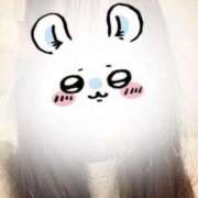 ヒメ日記 2025/04/13 00:00 投稿 なつね 京都出張メンズエステChou Chou（シュシュ)