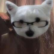 ヒメ日記 2025/04/16 20:20 投稿 なつね 京都出張メンズエステChou Chou（シュシュ)