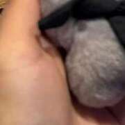 ヒメ日記 2026/01/13 21:00 投稿 なつね 京都出張メンズエステChou Chou（シュシュ)