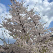 ヒメ日記 2025/05/06 15:19 投稿 るあ ハピネス札幌