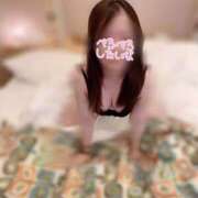 ヒメ日記 2025/11/22 15:07 投稿 もこ スピード日本橋店