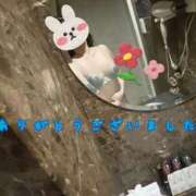 ヒメ日記 2025/03/12 05:07 投稿 水沢 あなたに逢いたくて