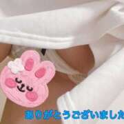 ヒメ日記 2025/07/09 00:27 投稿 水沢 あなたに逢いたくて