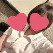 しほ ここから先 11チャンネル