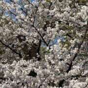 ヒメ日記 2026/03/27 23:56 投稿 しほ 11チャンネル