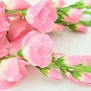 あざみ SSR出勤です♡ ワンダーホール24