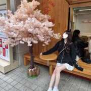 ヒメ日記 2025/04/17 08:14 投稿 三星あいす ブルーバード