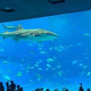 ヒメ日記 2025/12/15 16:29 投稿 あゆ デザインプリズム新宿