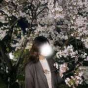 ヒメ日記 2025/04/09 15:22 投稿 松山　みおん アムアージュ