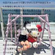 ヒメ日記 2025/08/20 10:02 投稿 松山　みおん アムアージュ