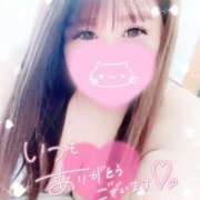 ヒメ日記 2025/02/23 16:27 投稿 ひなの ちゃんこ大阪伊丹空港豊中店