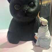 ヒメ日記 2025/10/17 20:47 投稿 ソラ 千葉美女革命