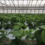 ヒメ日記 2025/02/28 12:40 投稿 つばさ 奥鉄オクテツ大阪