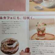 ヒメ日記 2025/03/24 12:45 投稿 つばさ 奥鉄オクテツ大阪