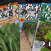 ヒメ日記 2025/03/31 23:30 投稿 つばさ 奥鉄オクテツ大阪