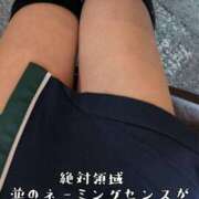 ヒメ日記 2025/04/03 17:25 投稿 つばさ 奥鉄オクテツ大阪