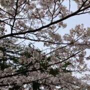 ヒメ日記 2025/04/07 11:00 投稿 つばさ 奥鉄オクテツ大阪