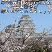ヒメ日記 2025/04/08 10:10 投稿 つばさ 奥鉄オクテツ大阪