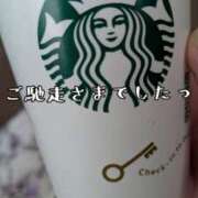 ヒメ日記 2025/04/20 16:30 投稿 つばさ 奥鉄オクテツ大阪