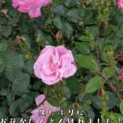 ヒメ日記 2025/04/28 22:30 投稿 つばさ 奥鉄オクテツ大阪