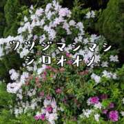ヒメ日記 2025/05/07 10:05 投稿 つばさ 奥鉄オクテツ大阪