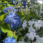 ヒメ日記 2025/05/09 15:30 投稿 つばさ 奥鉄オクテツ大阪