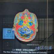 ヒメ日記 2025/05/31 11:20 投稿 つばさ 奥鉄オクテツ大阪