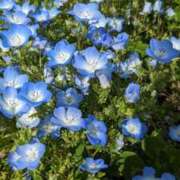 ヒメ日記 2025/07/18 16:30 投稿 つばさ 奥鉄オクテツ大阪