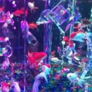 ヒメ日記 2025/08/23 16:20 投稿 つばさ 奥鉄オクテツ大阪