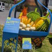 ヒメ日記 2025/12/02 21:55 投稿 つばさ 奥鉄オクテツ大阪