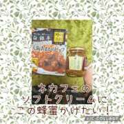 つばさ インフルエンザ知らずの貴方様 奥鉄オクテツ大阪